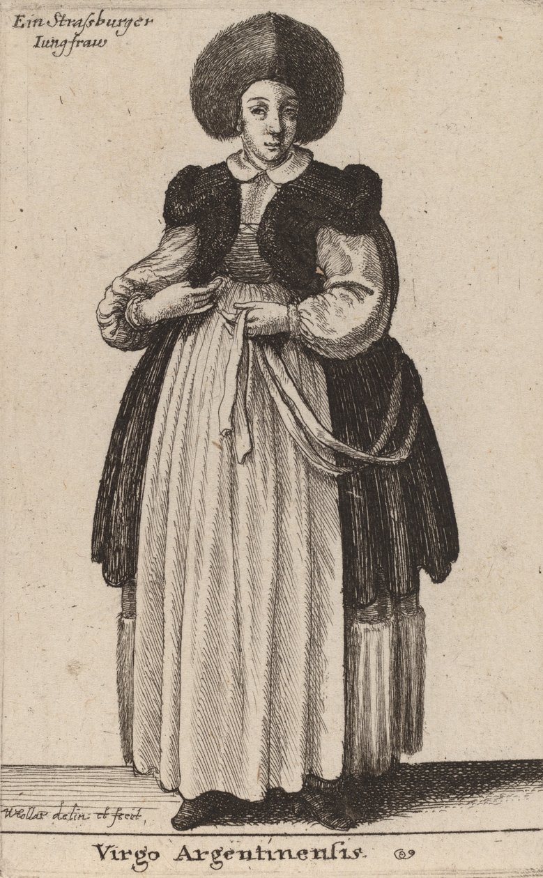 阿根廷处女座（Virgo Argentinensis）。 作者 瓦茨劳斯·霍拉尔