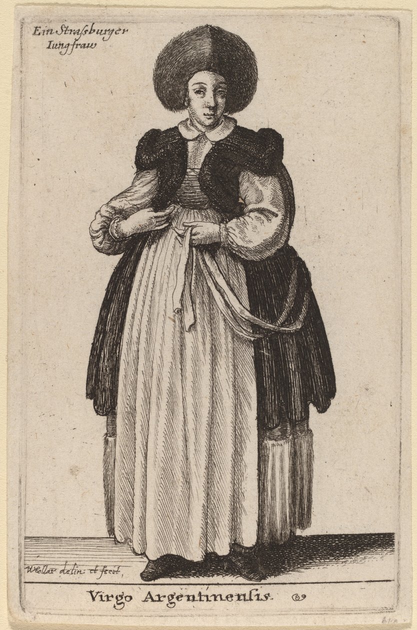 阿根廷处女座（Virgo Argentinensis 作者 瓦茨劳斯·霍拉尔