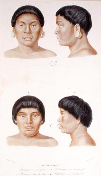 两个Botocudos印第安人的人体测量研究，由Fournier雕刻，19世纪中期（彩色平版印刷）。 作者 维尔纳维尔纳