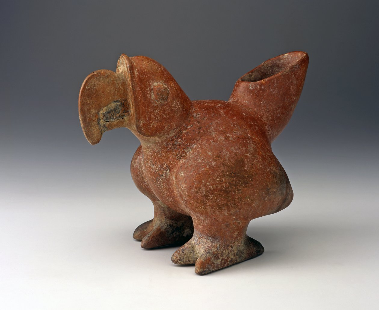 Parrot Effigy Vessel，公元前200年 - 公元300年（陶瓷与红色滑动涂料） 作者 西墨西哥