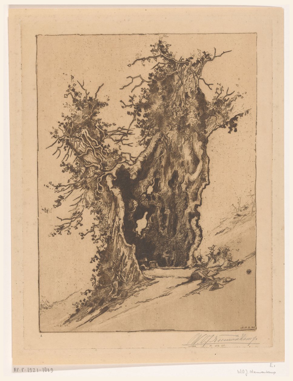 瑞士塞利斯堡附近的空心树
空心树（原标题） 作者 Wijnand Otto Jan Nieuwenkamp（艺术家签名）