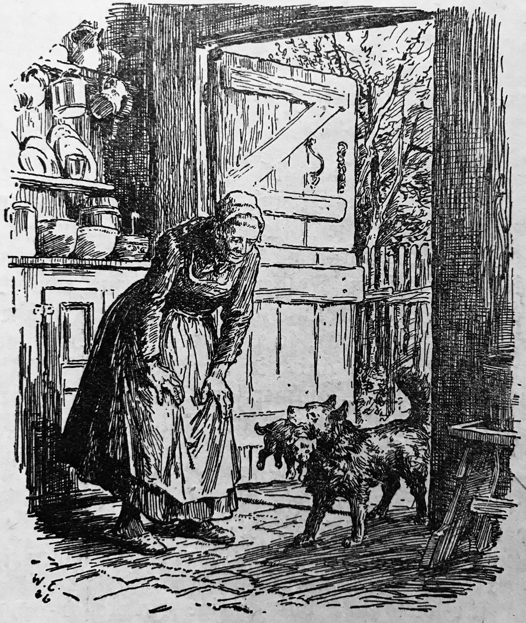 由Wilhelm Claudius绘制 作者 威廉·克劳迪乌斯