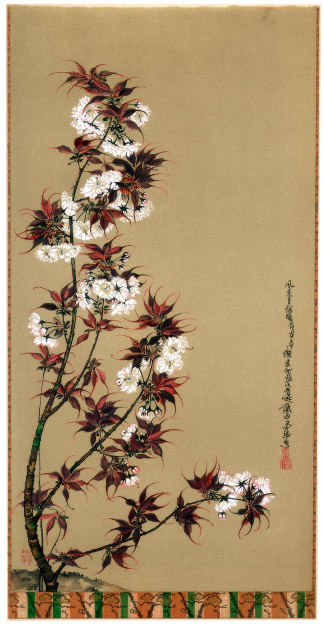 19世纪1886年的三河樱花 作者 威廉·格雷夫