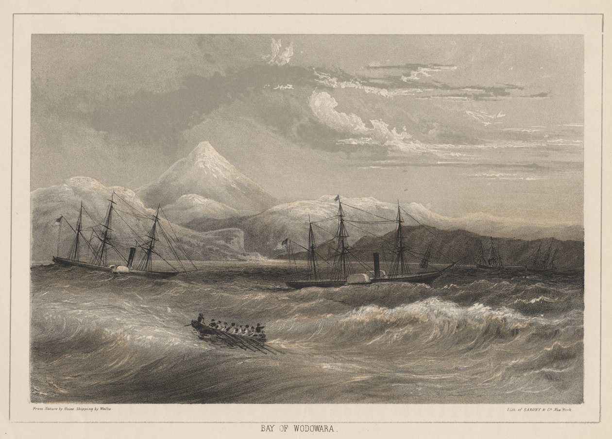 1855年，沃多瓦拉湾 作者 威廉·约瑟夫·海涅