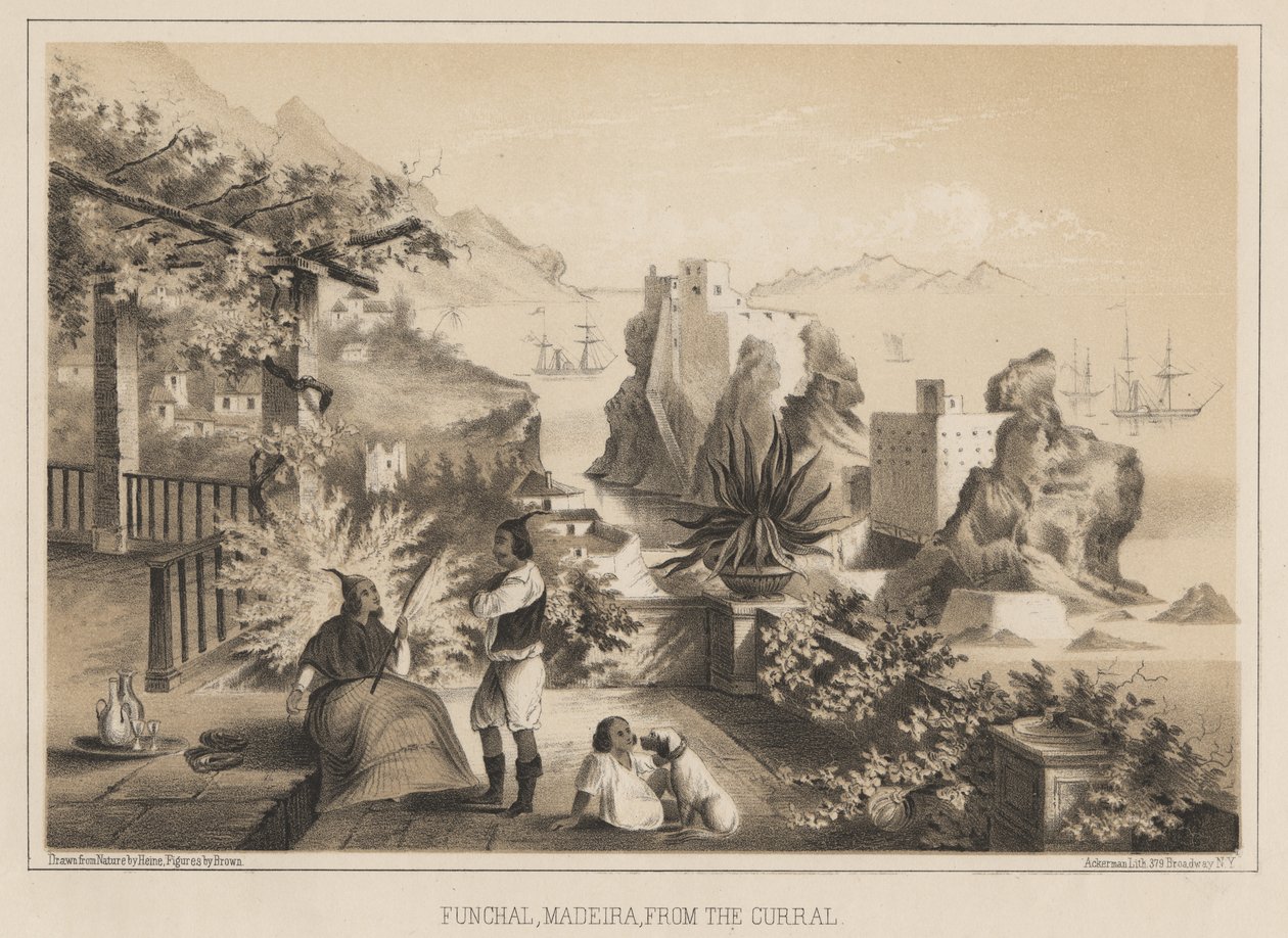 丰沙尔，马德拉，来自Curral，1885年 作者 威廉·约瑟夫·海涅