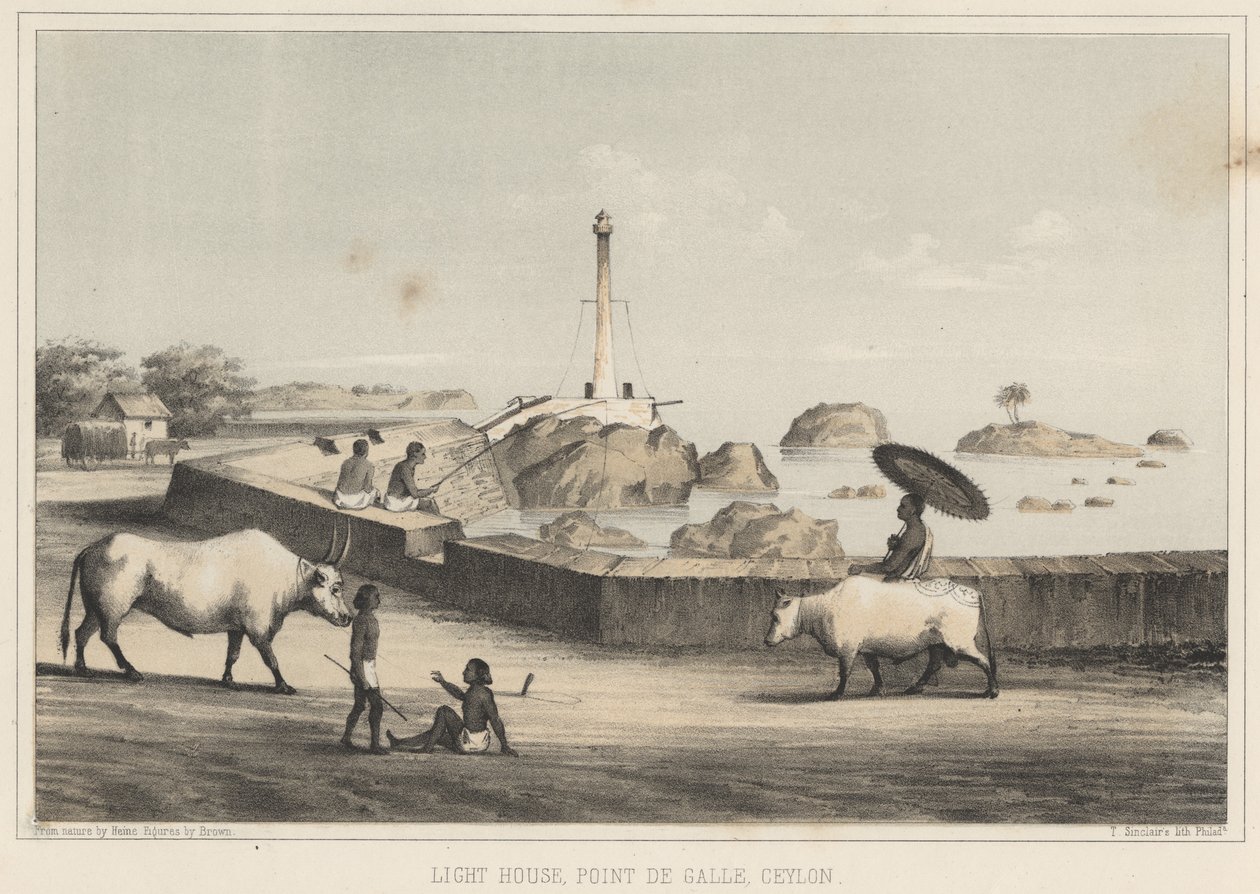 灯塔，Point de Galle，锡兰，1855年 作者 威廉·约瑟夫·海涅