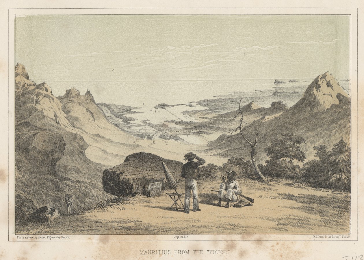 毛里求斯来自Pouce，1855年 作者 威廉·约瑟夫·海涅