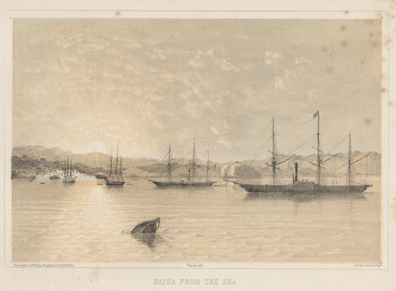 1855年，来自海的纳帕 作者 威廉·约瑟夫·海涅