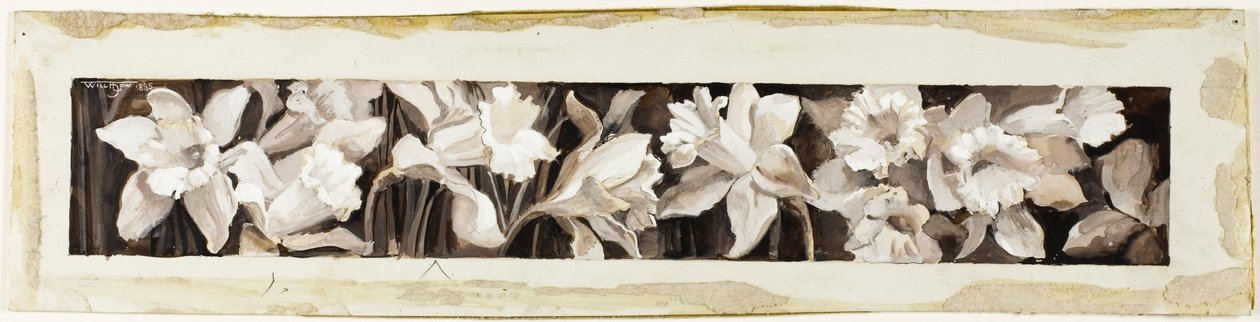 装饰 - 水仙花 作者 Will Hicock Low
