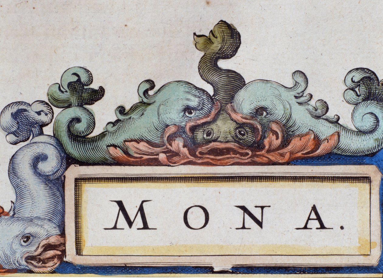 海豚，罗奎尔风格的卷首画。 Atlas di W. Blaeu，阿姆斯特丹 1650 年的细节。 作者 威廉·布劳