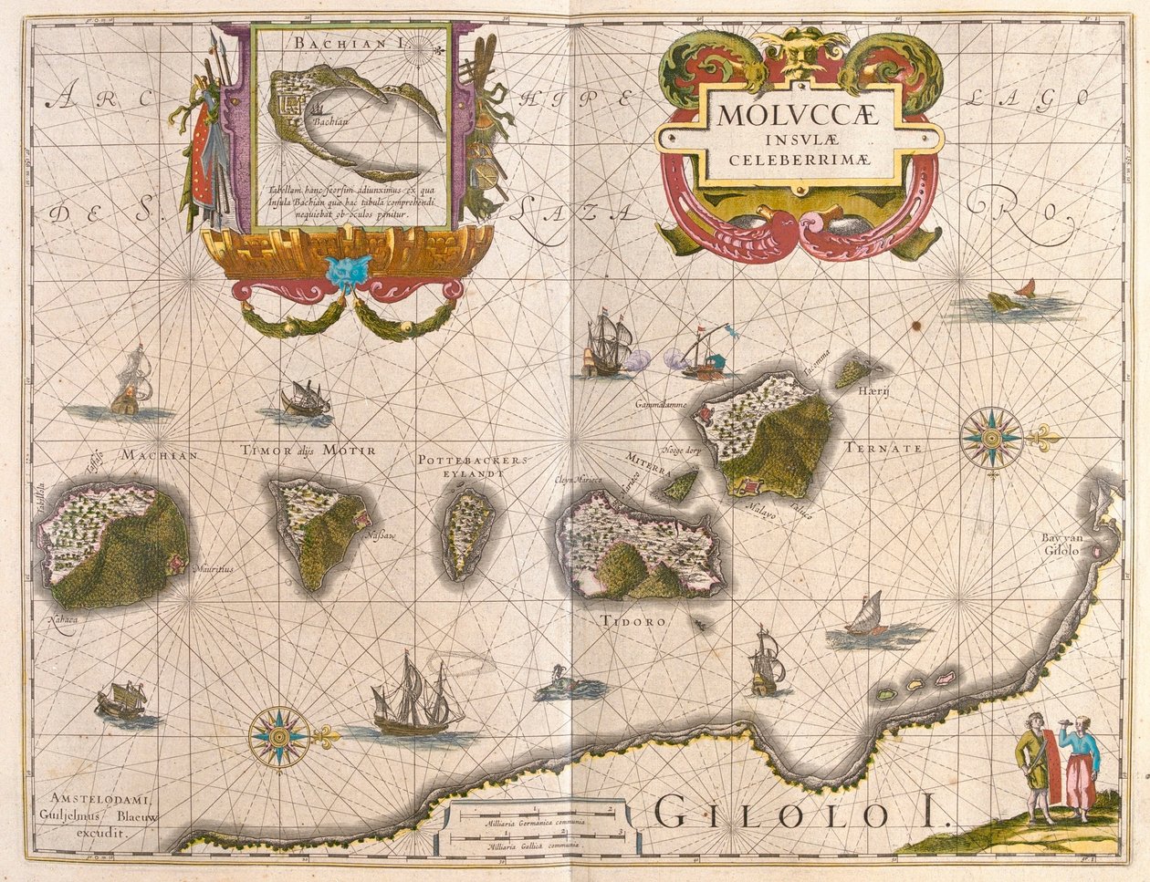 香料岛和巴奇安岛（Batjan），载于威廉-布劳（Willem Blaeu）的 "Theatrum Orbis Terrarum, sive Atlas Novus"，阿姆斯特丹 作者 威廉·布劳