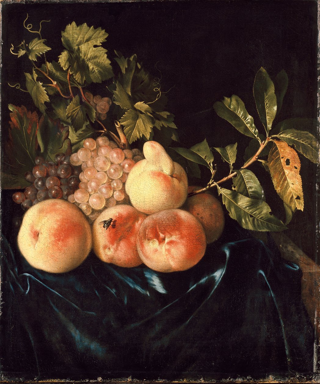 桃子和葡萄的静物画，1705年 作者 威廉·弗雷德里克斯·范·罗恩