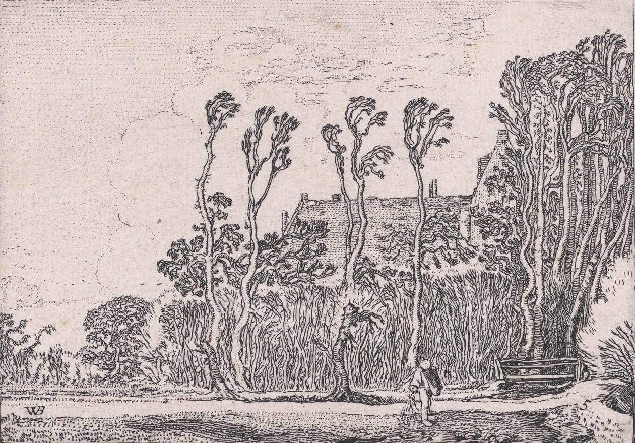 播种者，来自Verscheyden Landtschapjes各种小景观，图版5，约1616年。 作者 威廉·皮特兹。买泰威