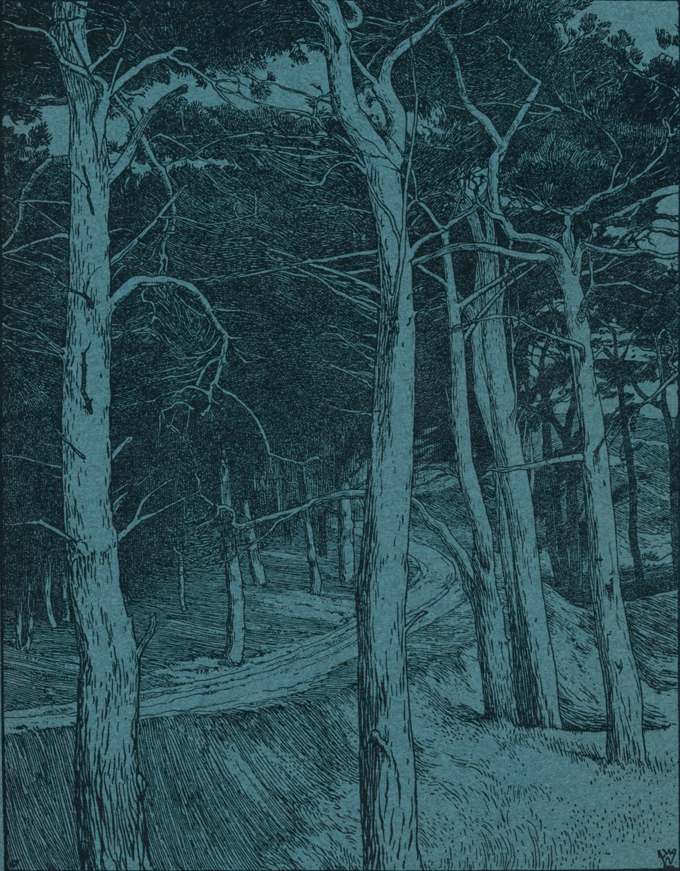 伍德兰，c1912 作者 威廉·温克巴赫