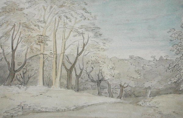 一种木质景观，c.1801（wc和石墨在纸上） 作者 威廉·布雷克