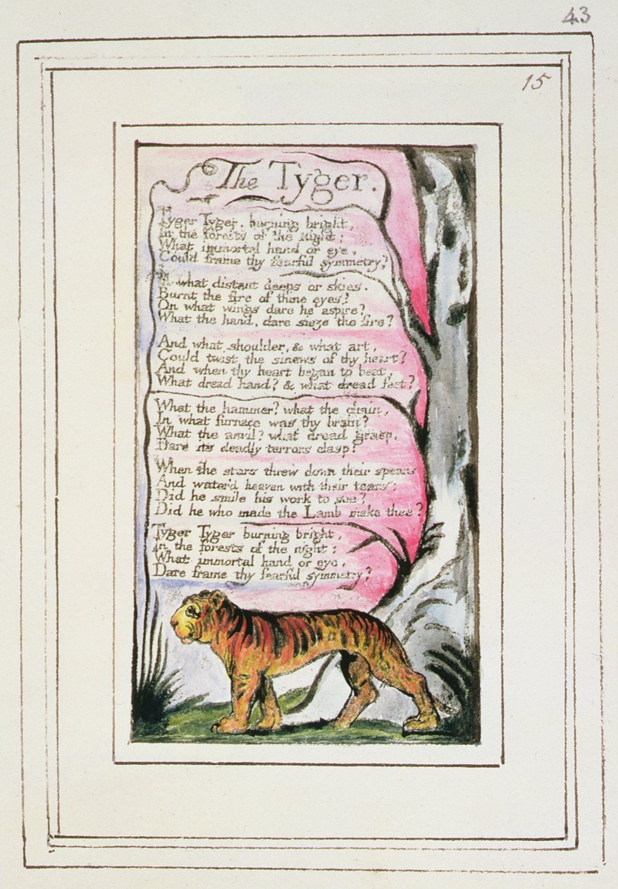 P.124-1950.pt43 The Tyger：来自&39;纯真和经验之歌&39;的第43页（复制R）c.1802-08（蚀刻，墨水和wc） 作者 威廉·布雷克