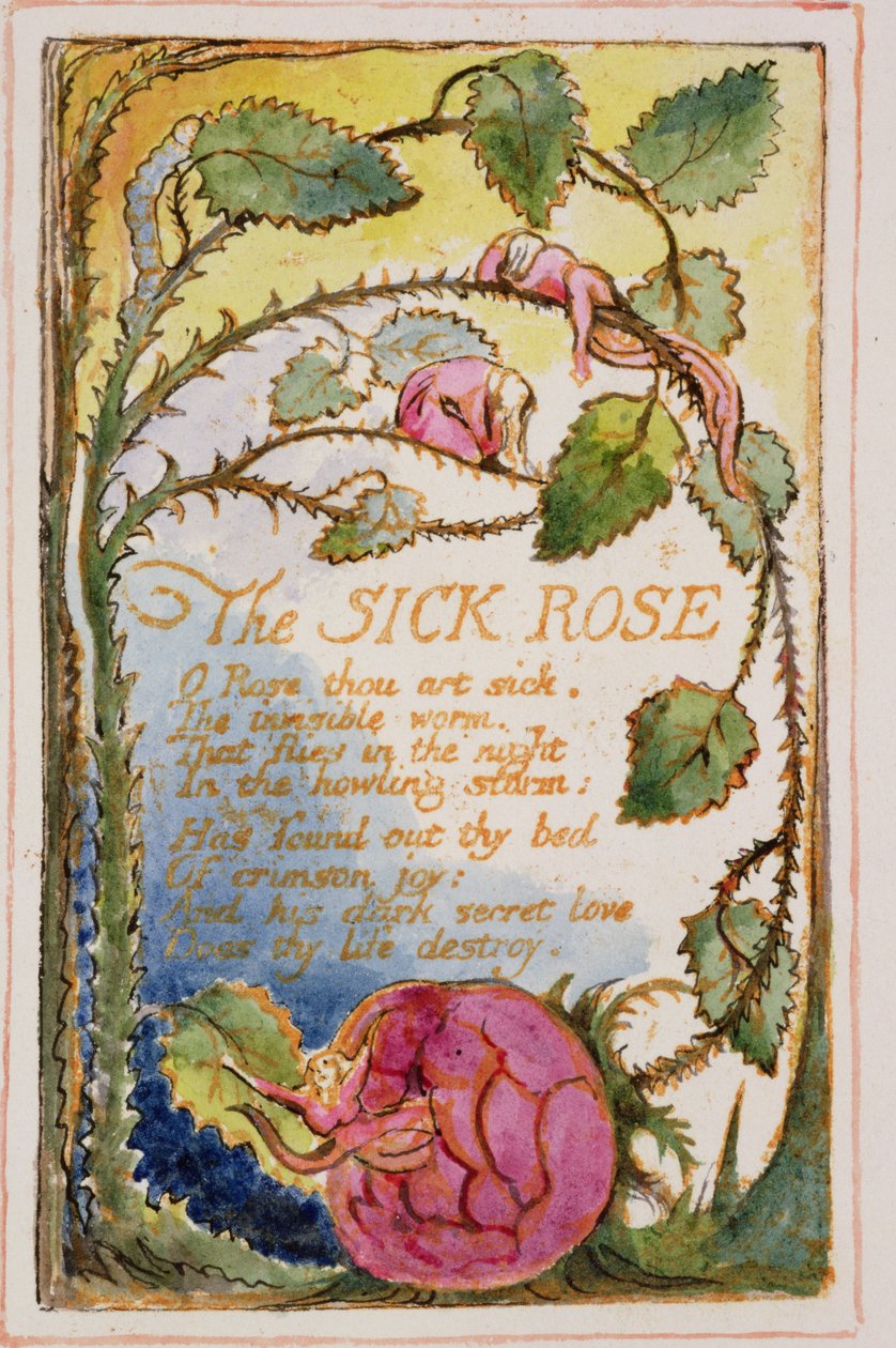P.125-19503.pt39 Sick Rose：来自纯真之歌和经验的第39页（复制AA）c.1815-26（蚀刻，墨水和wc） 作者 威廉·布雷克
