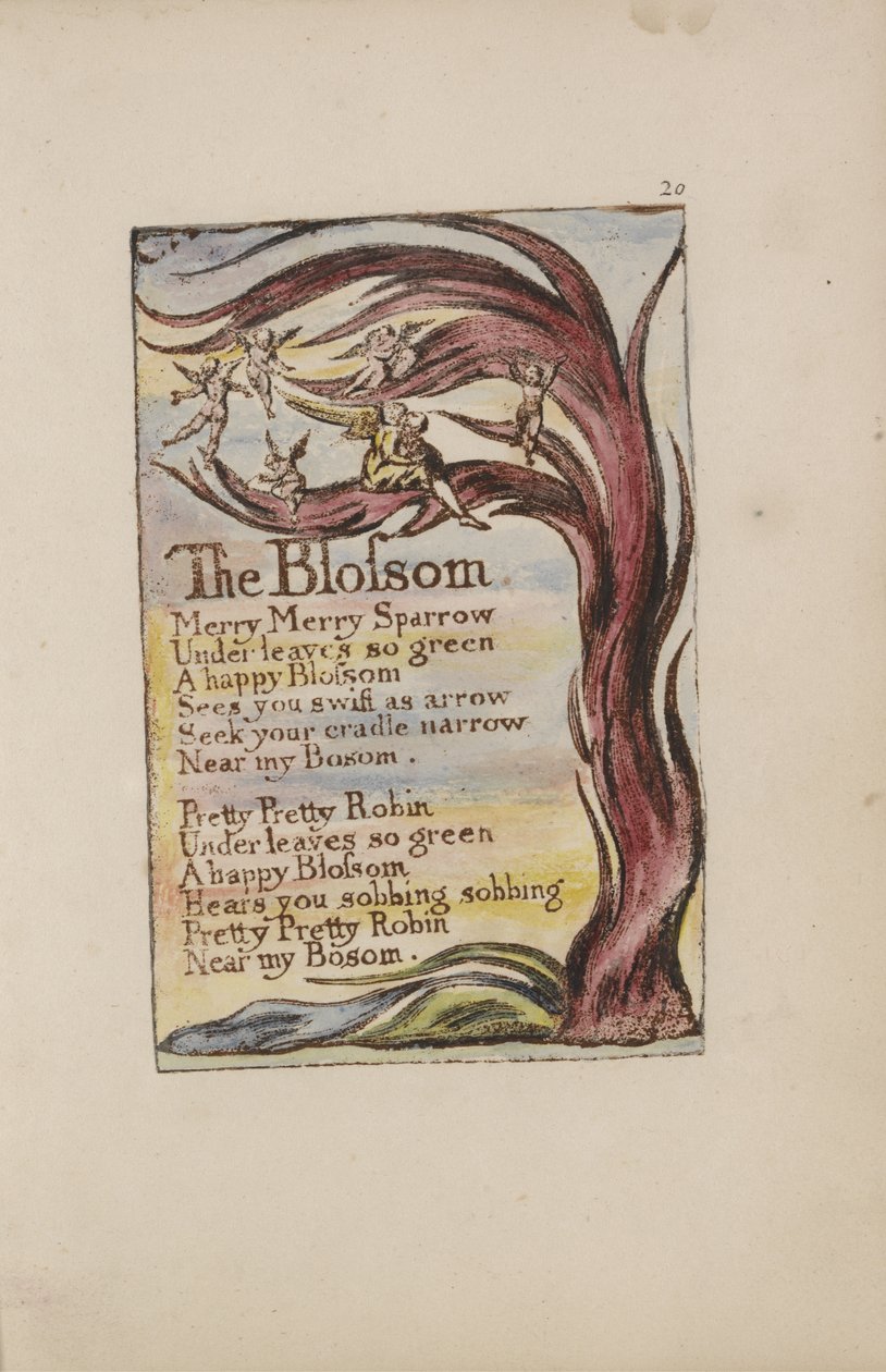 The Blossom，1789年来自无罪之歌，1889年（用纸上的wc手工着色浮雕蚀刻） 作者 威廉·布雷克
