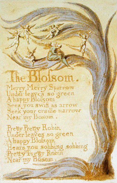 The Blossom，1789年来自无罪之歌，989年（在纸上用wc进行浮雕蚀刻） 作者 威廉·布雷克