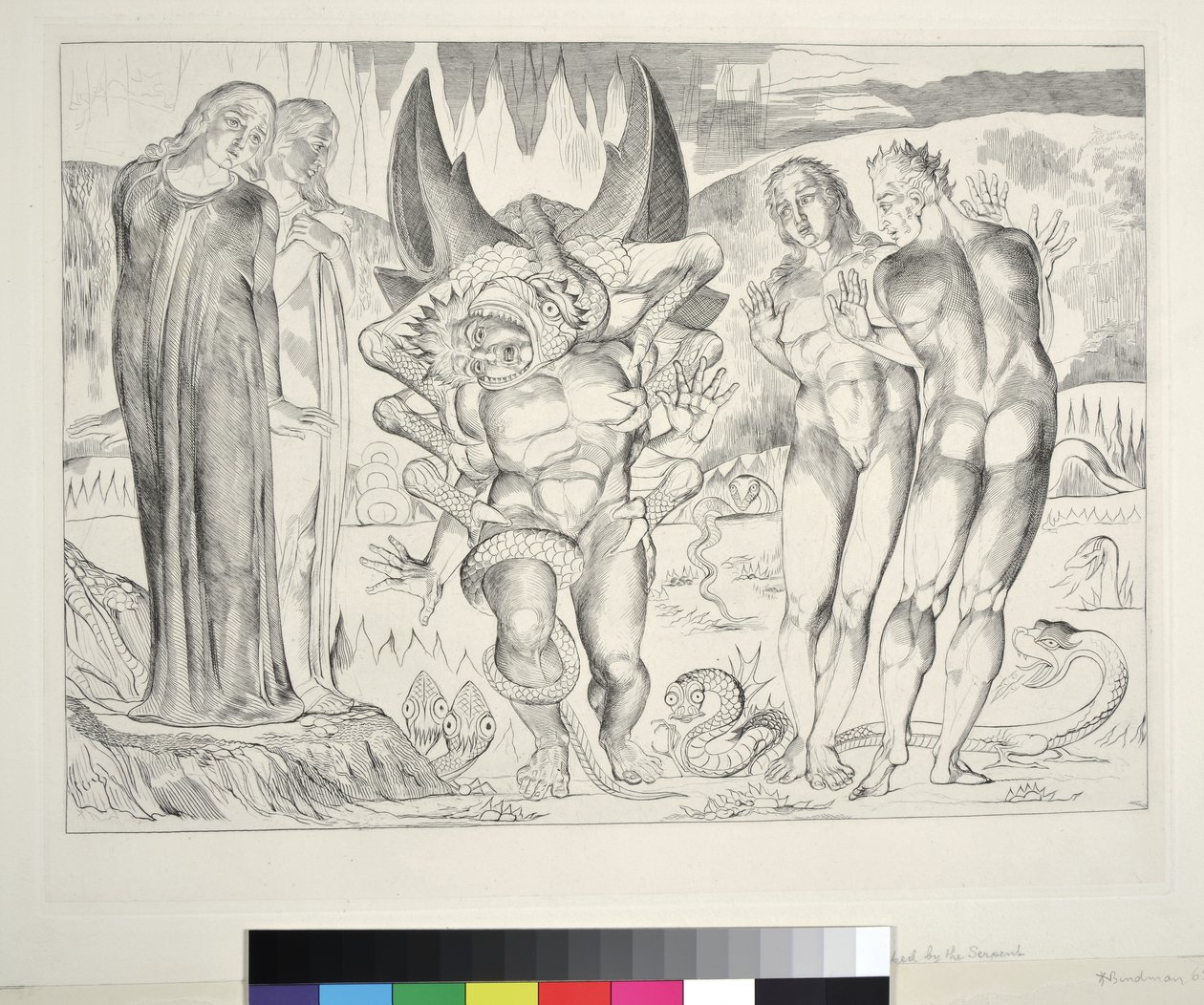 盗贼之圈：Agnolo Brunelleschi被一只六足蛇，Inferno，Canto XXV攻击，插图由Dante Alighieri创作的“神曲”，1827年 作者 威廉·布雷克