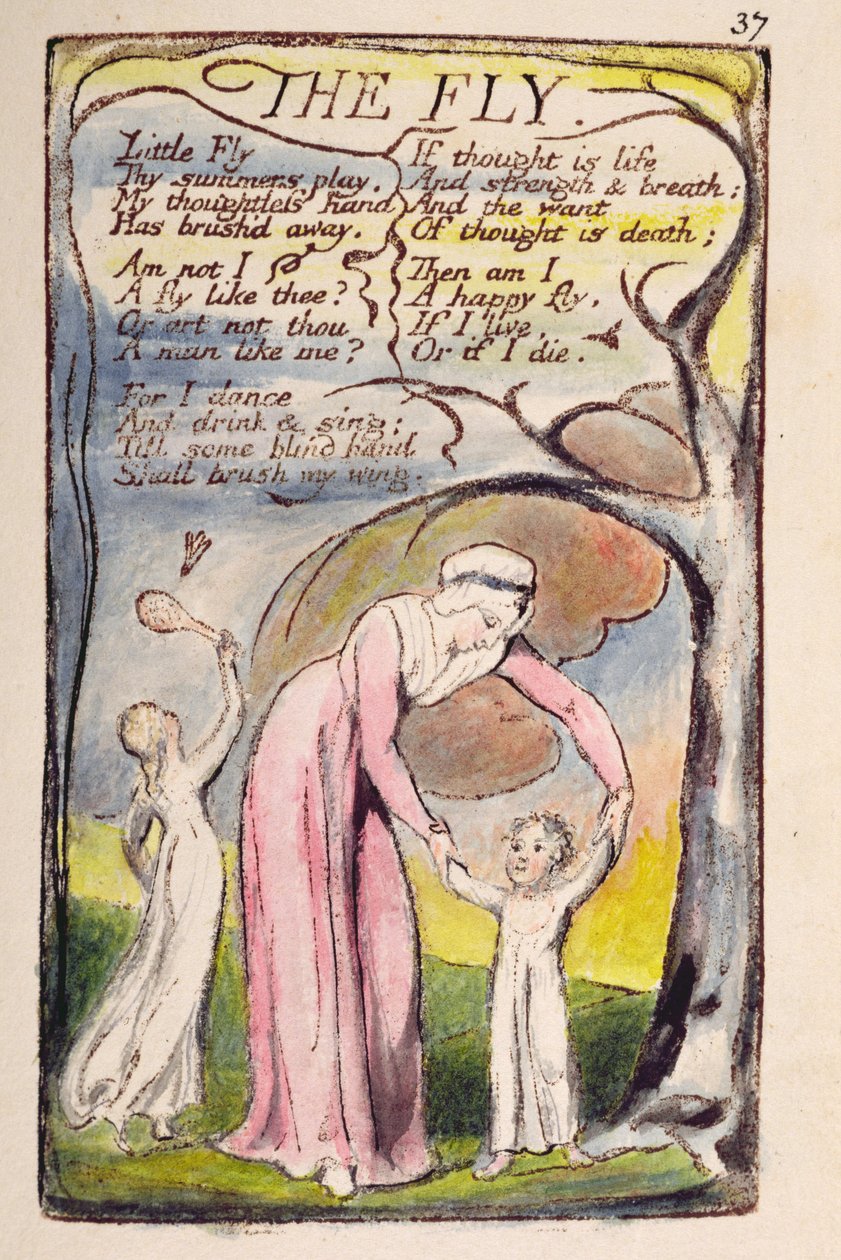 &39;The Fly&39;，来自&39;纯真之歌和经验之歌&39;的第37页[Bentley 40] c.1789-94（用墨水笔和墨水印刷的深褐色浮雕蚀刻） 作者 威廉·布雷克