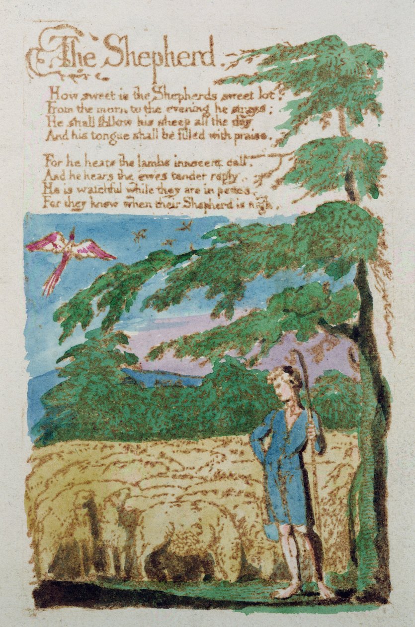 牧羊人，来自无罪之歌，1789年（彩色蚀刻） 作者 威廉·布雷克