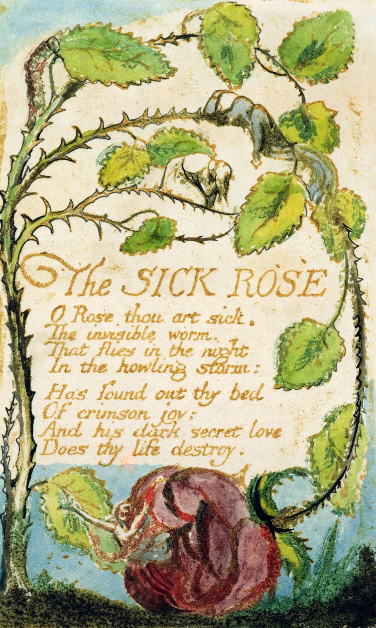 The Sick Rose，来自纯真之歌（蚀刻，墨水和wc） 作者 威廉·布雷克