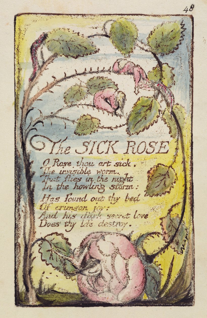 &39;The Sick Rose&39;，来自&39;纯真之歌和经验之歌&39;48 [Bentley 39] c.1789-94（深褐色的浮雕蚀刻用笔和墨水和wc） 作者 威廉·布雷克