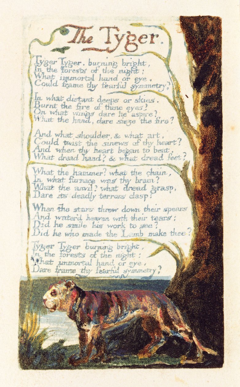 &39;The Tyger&39;，来自&39;经验之歌&39;的第41页，1794年（使用wc进行浮雕蚀刻） 作者 威廉·布雷克