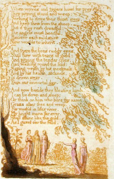 当Wolves and Tygers Howl ...，1789年来自无罪之歌的板块17（用纸上的wc进行浮雕蚀刻） 作者 威廉·布雷克