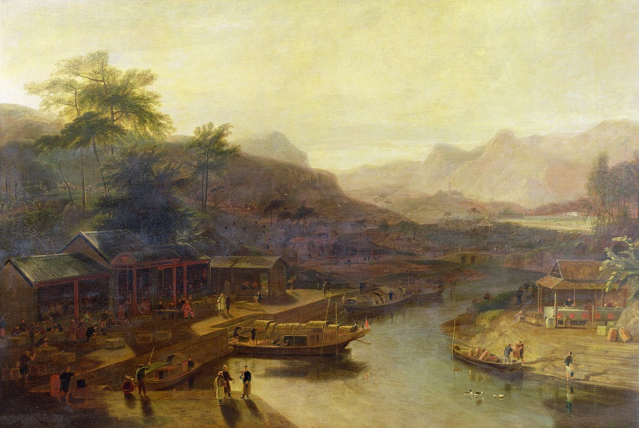 中国观：茶树栽培，1810 作者 威廉·丹尼尔