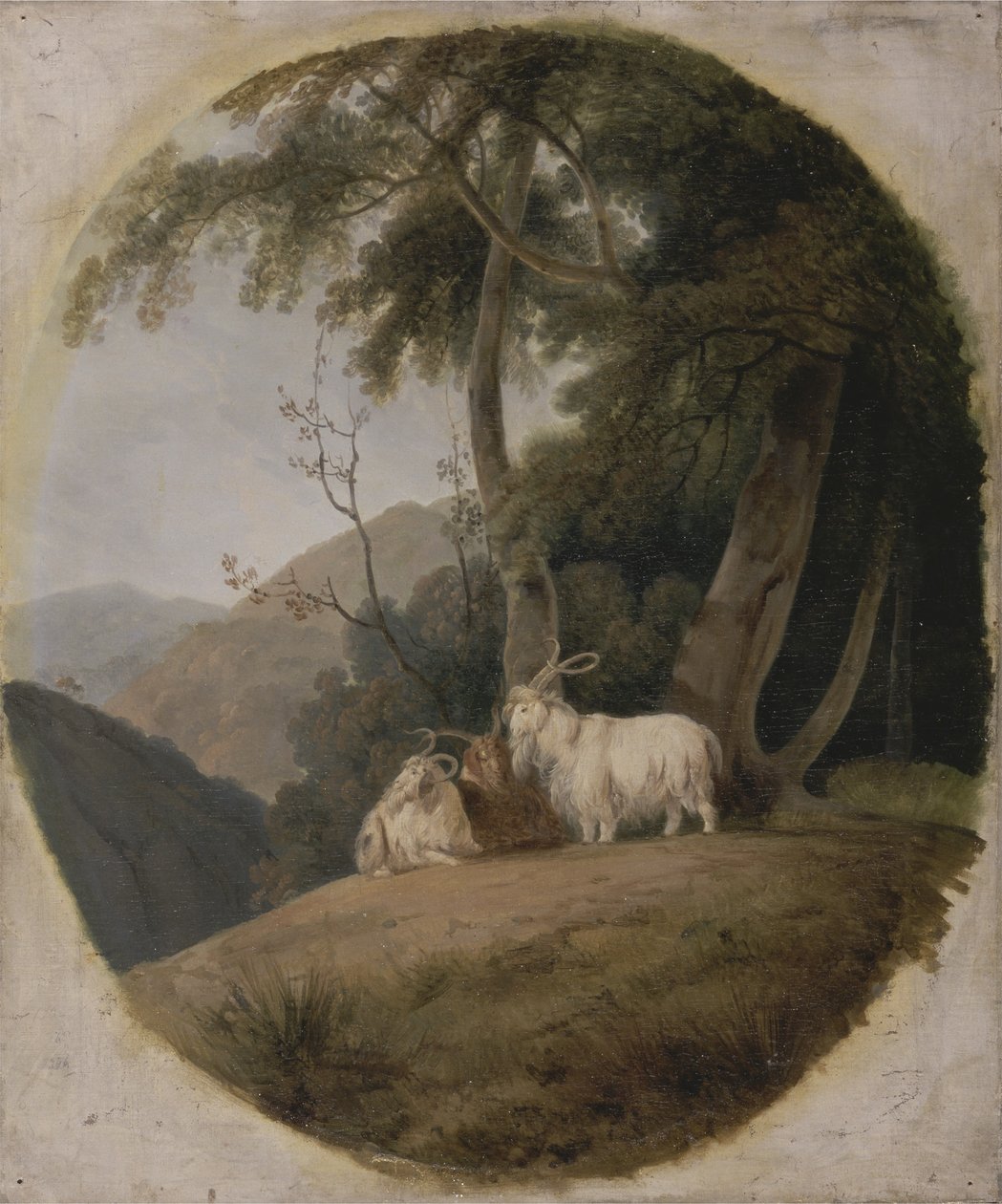 克什米尔山羊，1780-1820 作者 威廉·丹尼尔