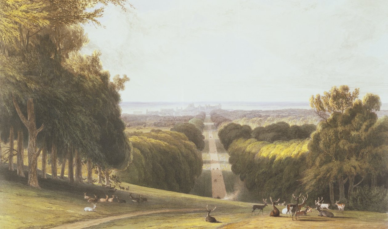 温莎公园的漫步，来自温莎，伊顿和弗吉尼亚水的汇编，c.1827-30 作者 威廉·丹尼尔