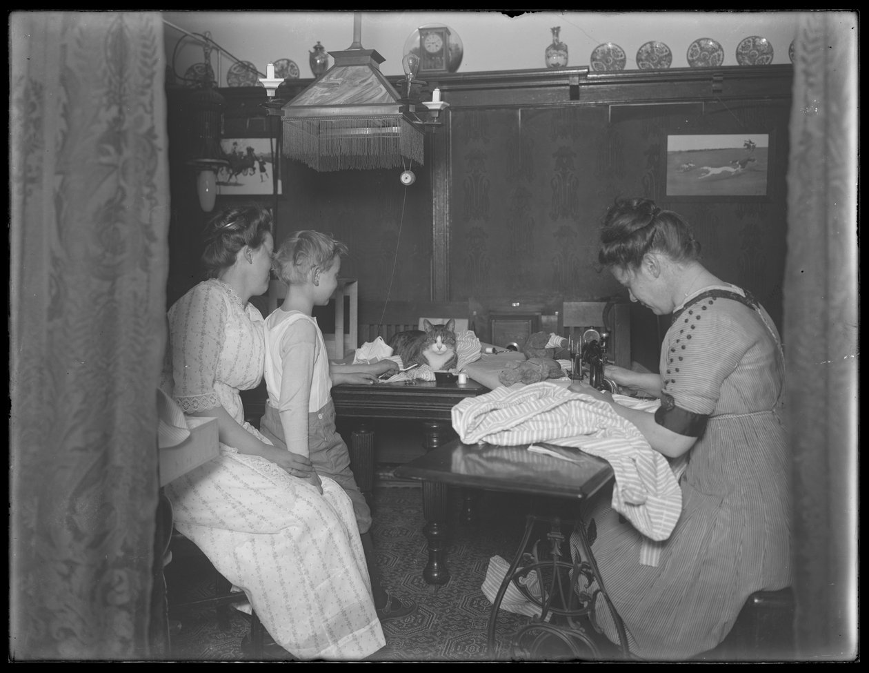 Ethel Gray Magaw Hassler，William Grey Hassler（小男孩），Harriet E. Hassler（操作缝纫机）和Reddy（猫）在150 Vermilyea Avenue，Apartment 44，New York City的用餐区，c.19 作者 威廉·戴维斯·哈斯勒