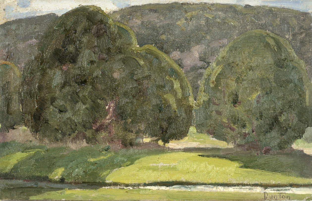 阳光和雪松，c.1933 作者 威廉·赫伯特·巴克·邓顿