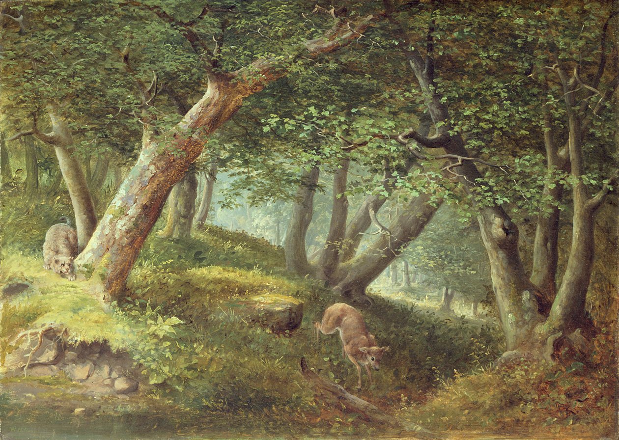 在森林里，1856年 作者 威廉·霍尔布鲁克·比尔德