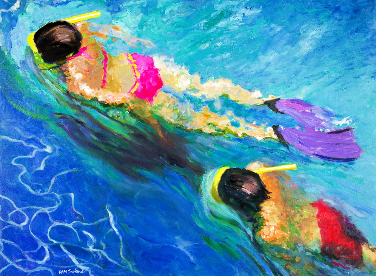 追求，2005年 作者 威廉·爱尔兰