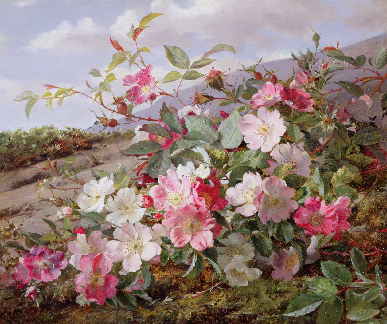 Eglantine，1883 作者 威廉·贾比斯·马克利
