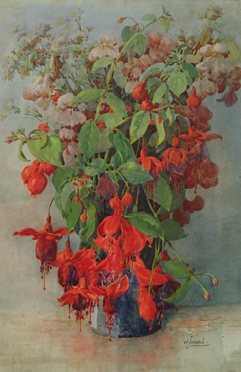 花瓶里的Fushia和Snapdragon（铅笔和wc） 作者 威廉·乔丹