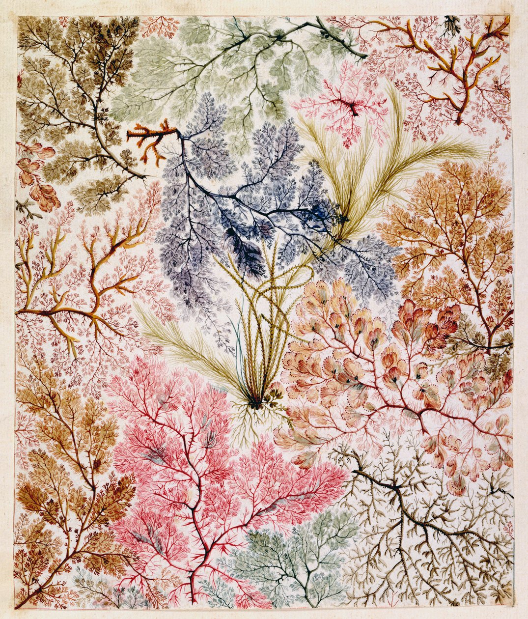 纺织品设计，c.1788-92 作者 威廉·基尔本