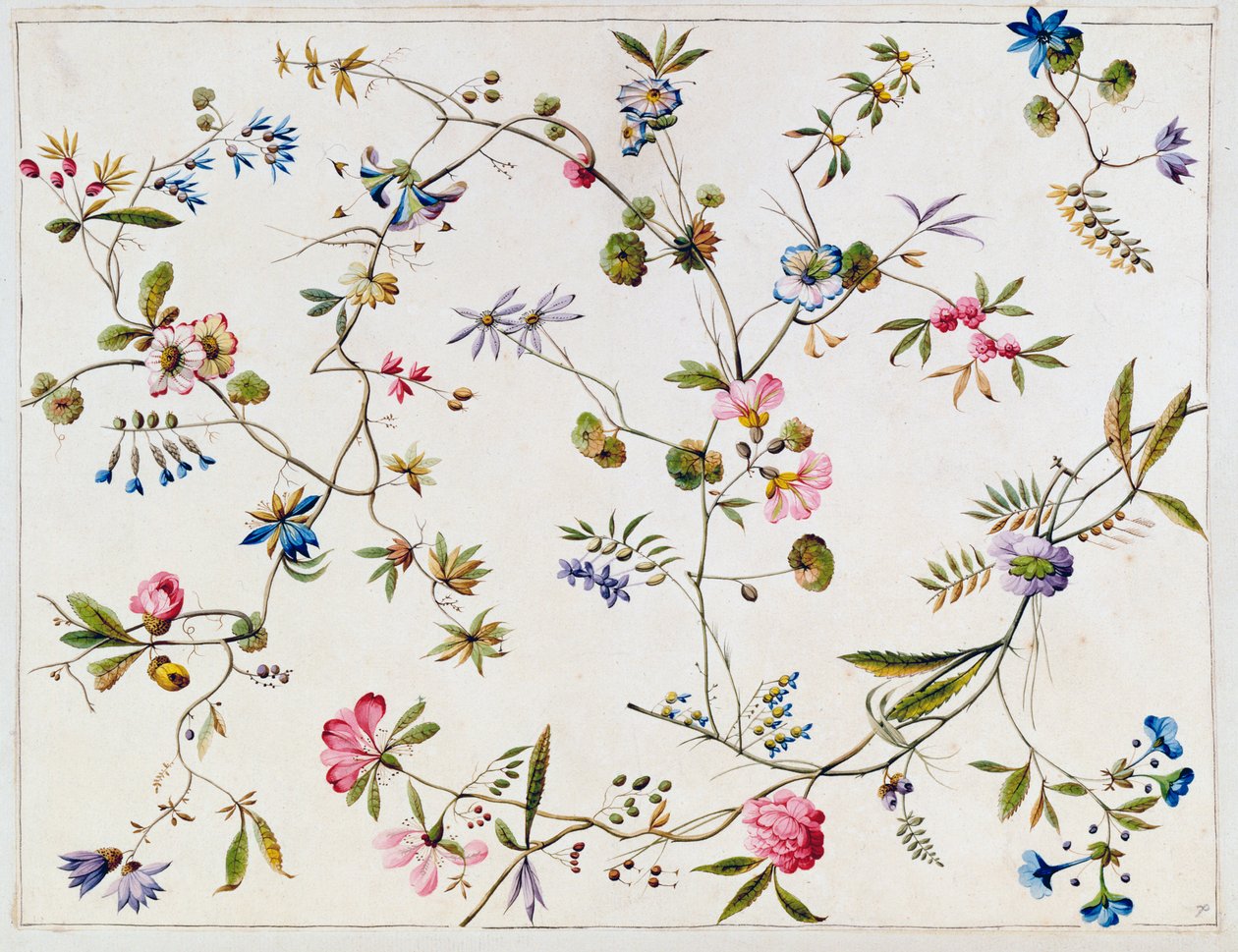 纺织品设计，c.1788-92 作者 威廉·基尔本