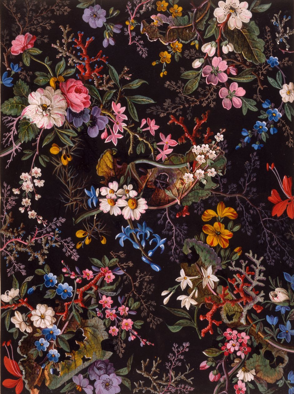 纺织品设计，c.1788-92（纸上wc） 作者 威廉·基尔本