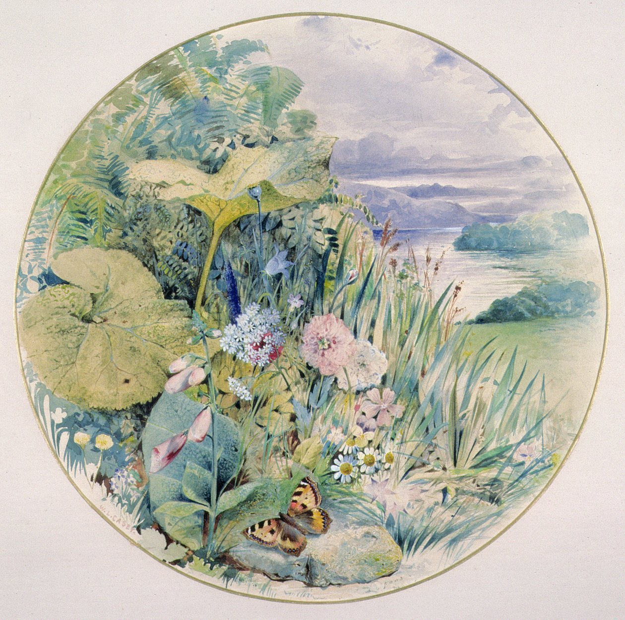野生花卉和植被，在湖区 作者 威廉·林奈·凯西