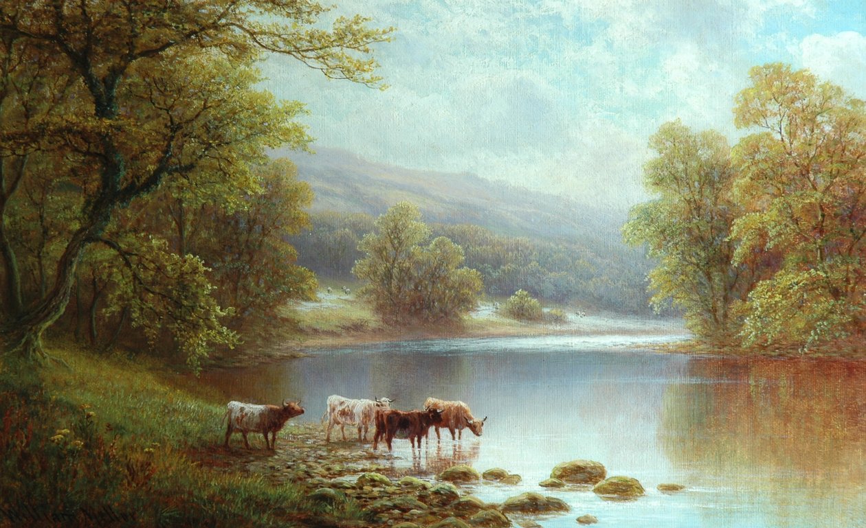 在Wharfe，Bolton Woods 作者 威廉·梅勒