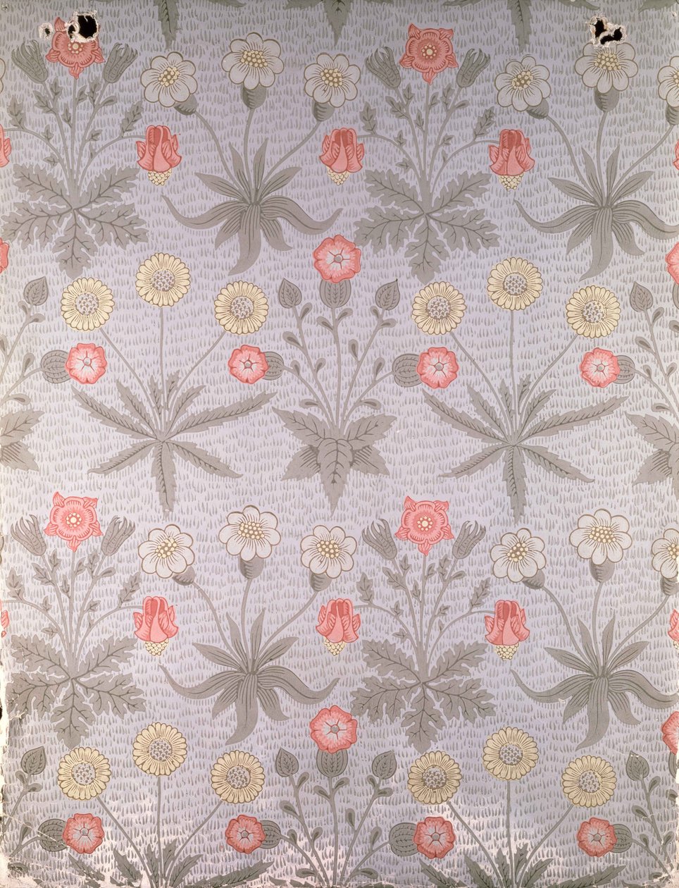 &39;Daisy&39;壁纸设计，来自1864年威廉莫里斯的设计作品集 作者 威廉·莫里斯
