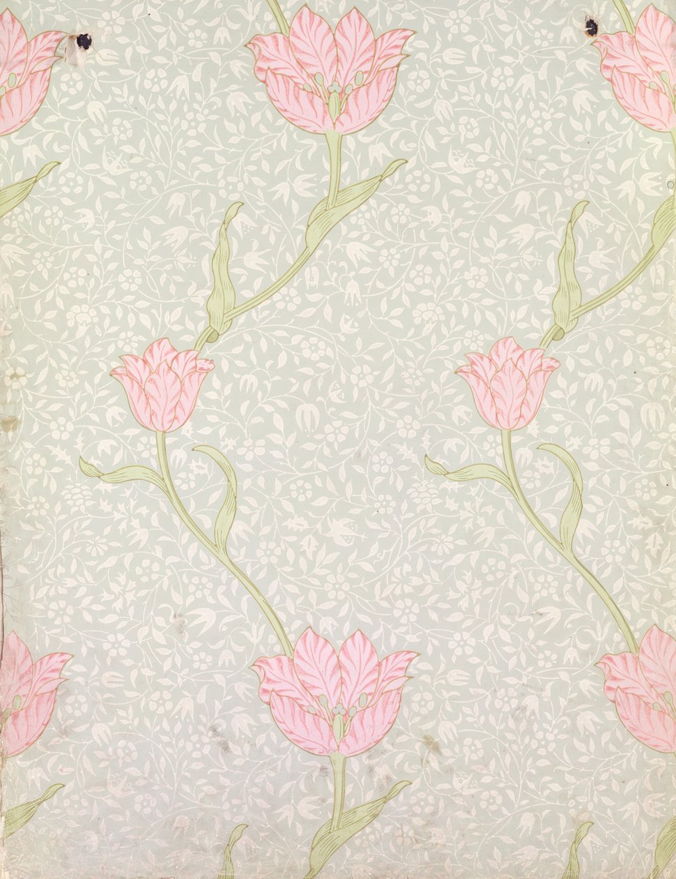 &39;Garden Tulip&39;壁纸设计，1885年 作者 威廉·莫里斯