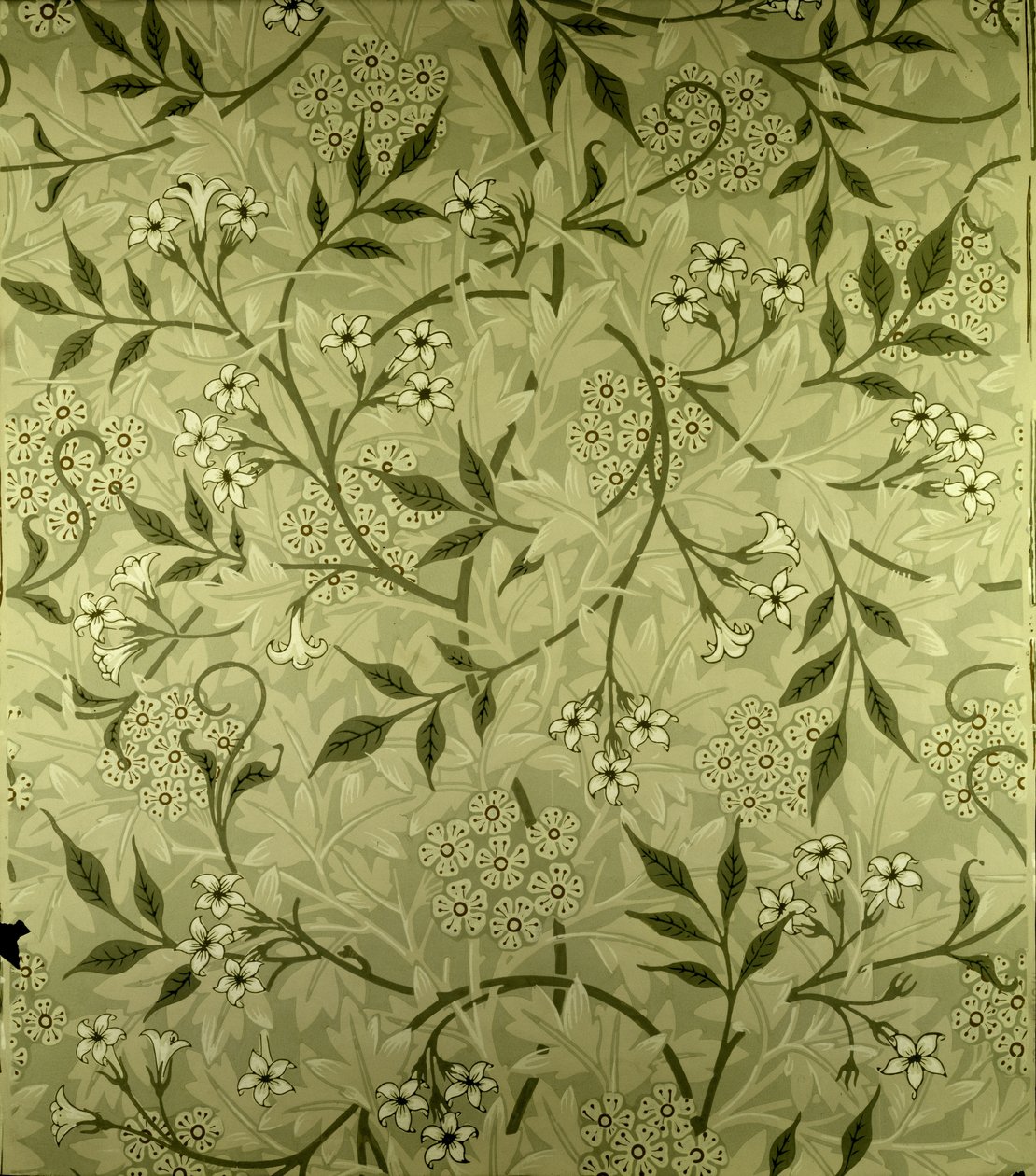 &39;茉莉花&39;壁纸设计，1872年 作者 威廉·莫里斯