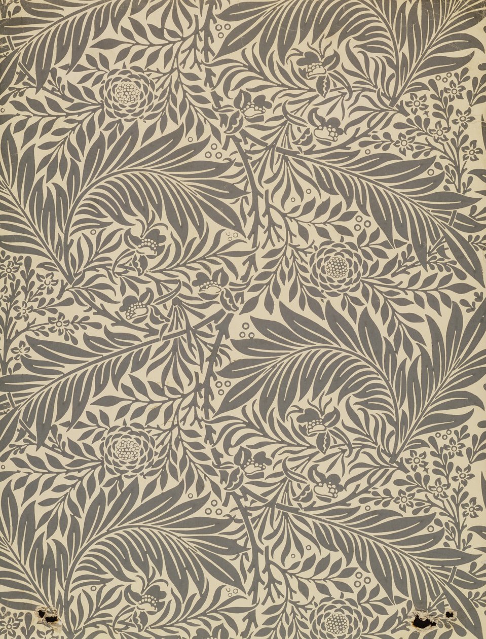 Larkspur，壁纸设计，1872年 作者 威廉·莫里斯