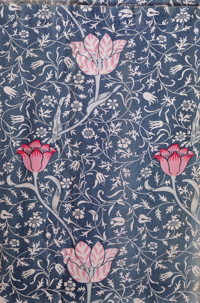 &39;Medway&39;设计，1885年（印花棉） 作者 威廉·莫里斯