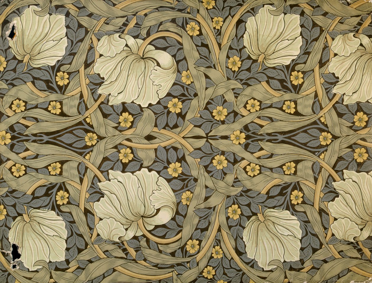 Pimpernell，壁纸设计，1876年 作者 威廉·莫里斯